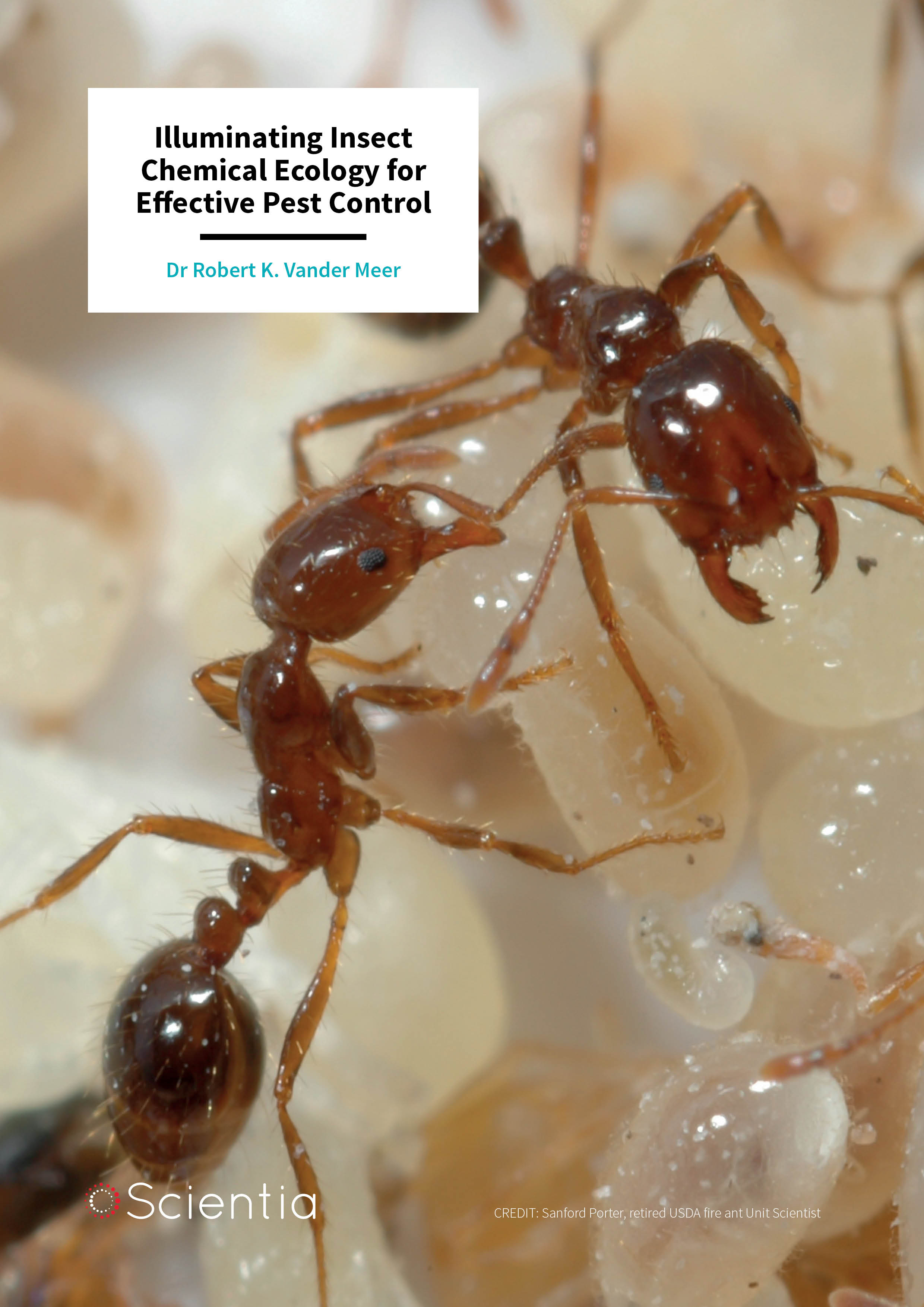 Dr Robert K. Vander Meer – Illuminating Insect Chemical Ecology for Effective Pest Control