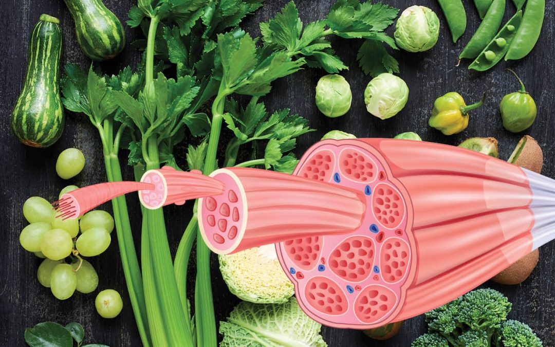 Dr. Rosa Keller | Can Eating Green Vegetables Improve Exercise Performance?