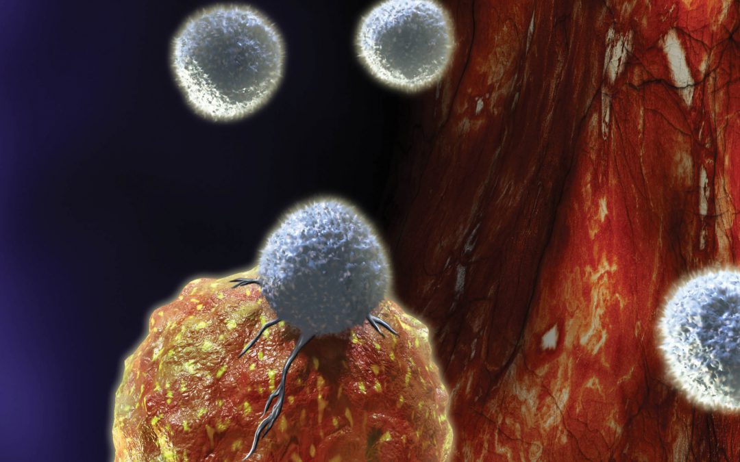 SFB 1027 – Cell Physics: Understanding How Biological Matter Self-Organises