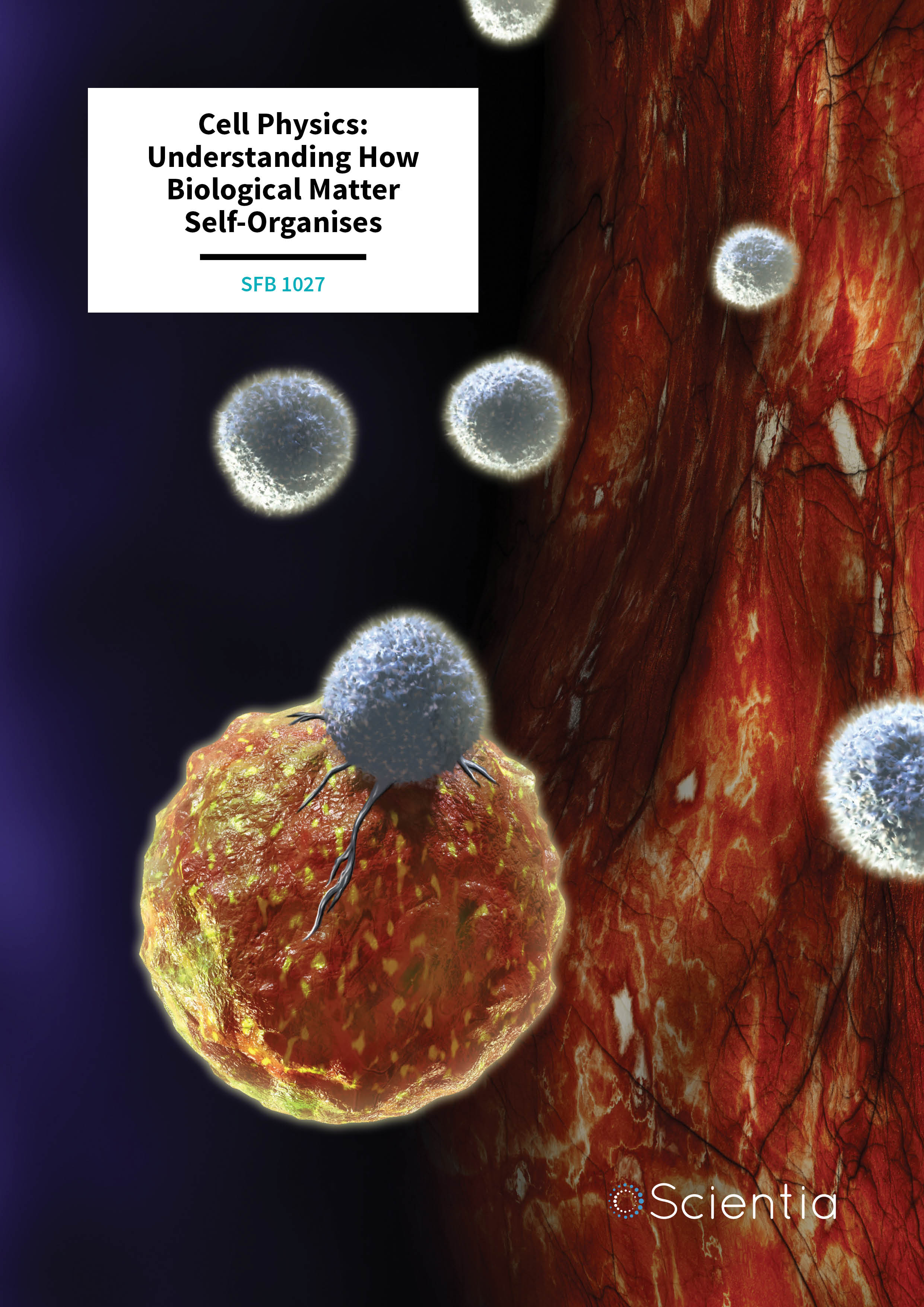 SFB 1027 – Cell Physics: Understanding How Biological Matter Self-Organises