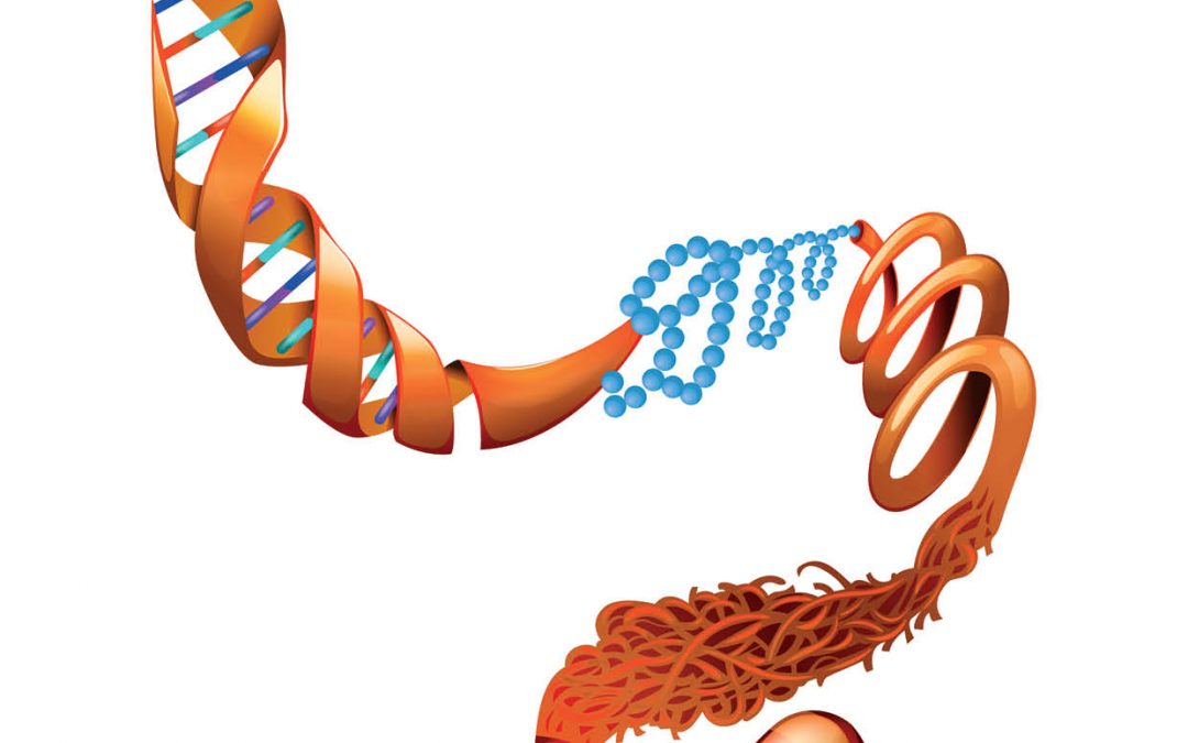 Dr Shigeki Iwase – Neurodevelopmental Disorders Arising from Histone Methylation Malfunctions