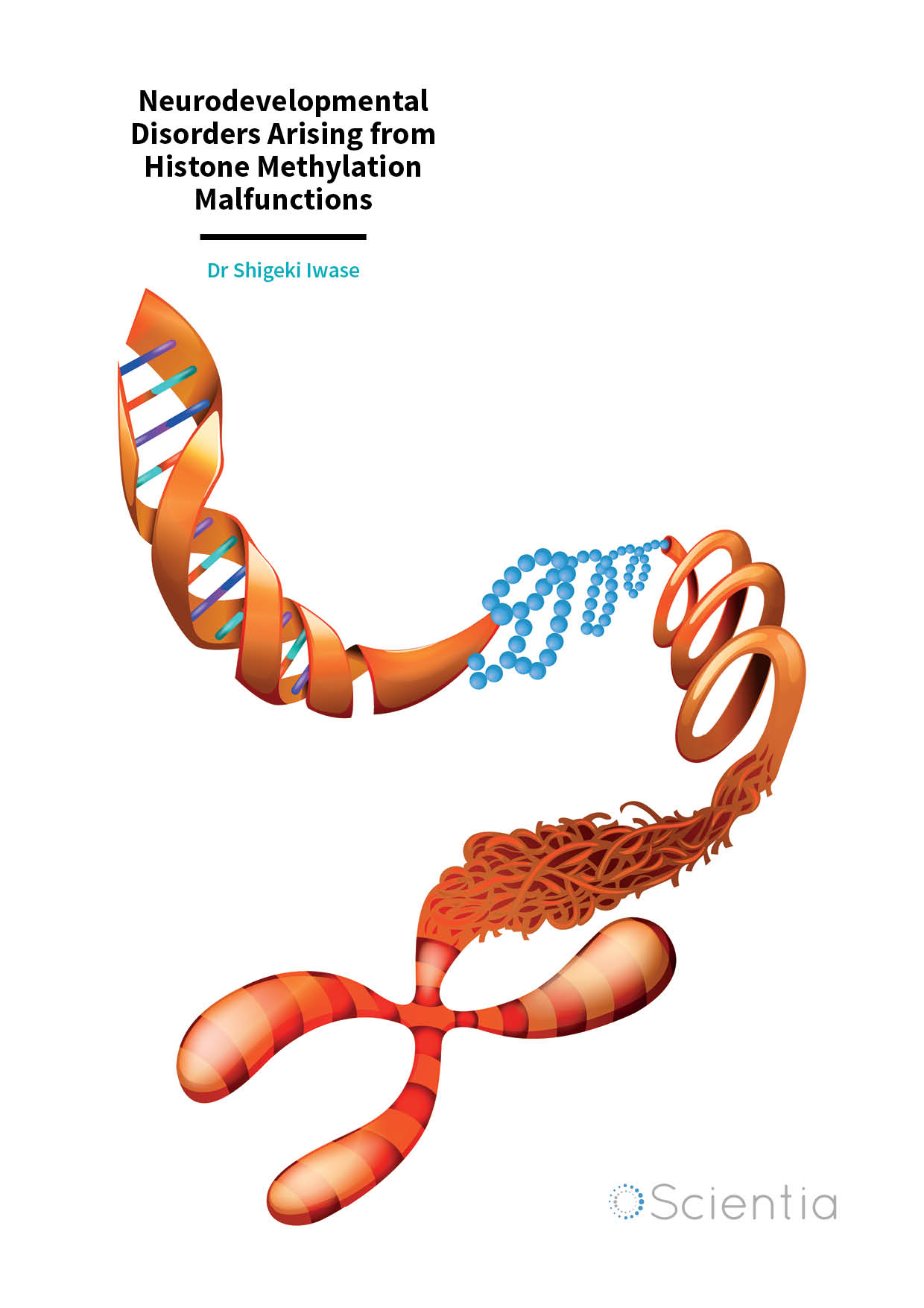 Dr Shigeki Iwase – Neurodevelopmental Disorders Arising from Histone Methylation Malfunctions