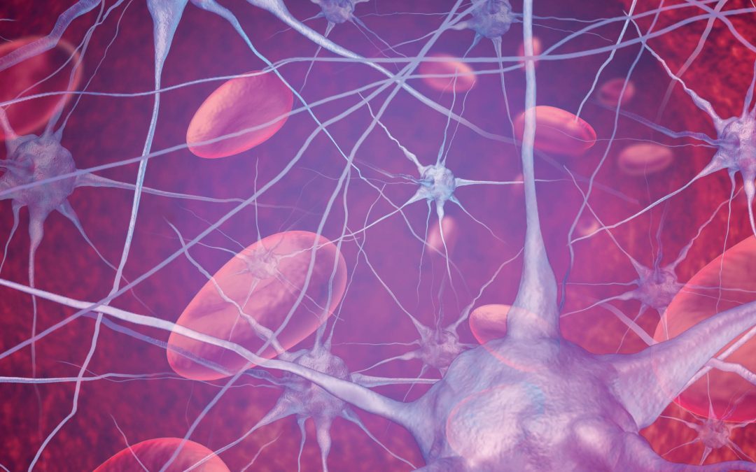 Dr Shikha Nangia – The Blood-Brain Barrier: More than Just a Barrier