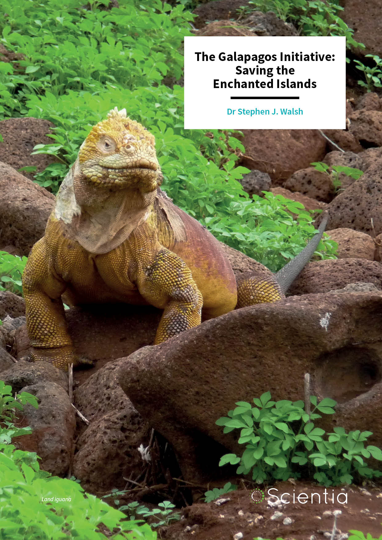 Dr Stephen Walsh – The Galapagos Initiative: Saving the Enchanted Islands