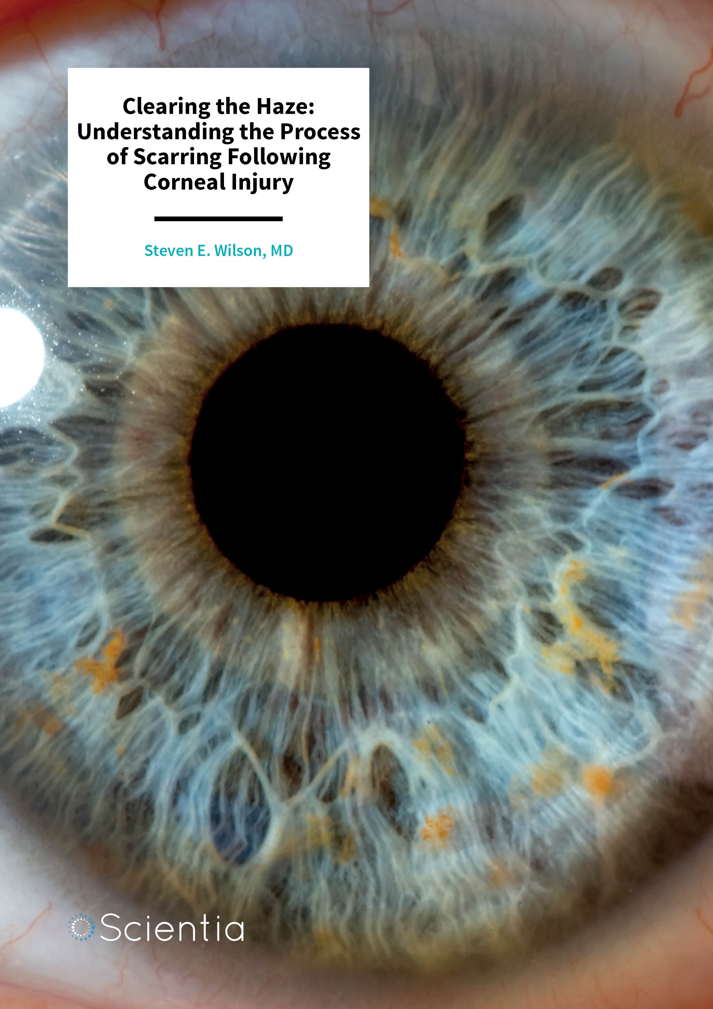 Professor Steven E. Wilson - Clearing the Haze: Understanding the Process  of Scarring Following Corneal Injury • scientia.global