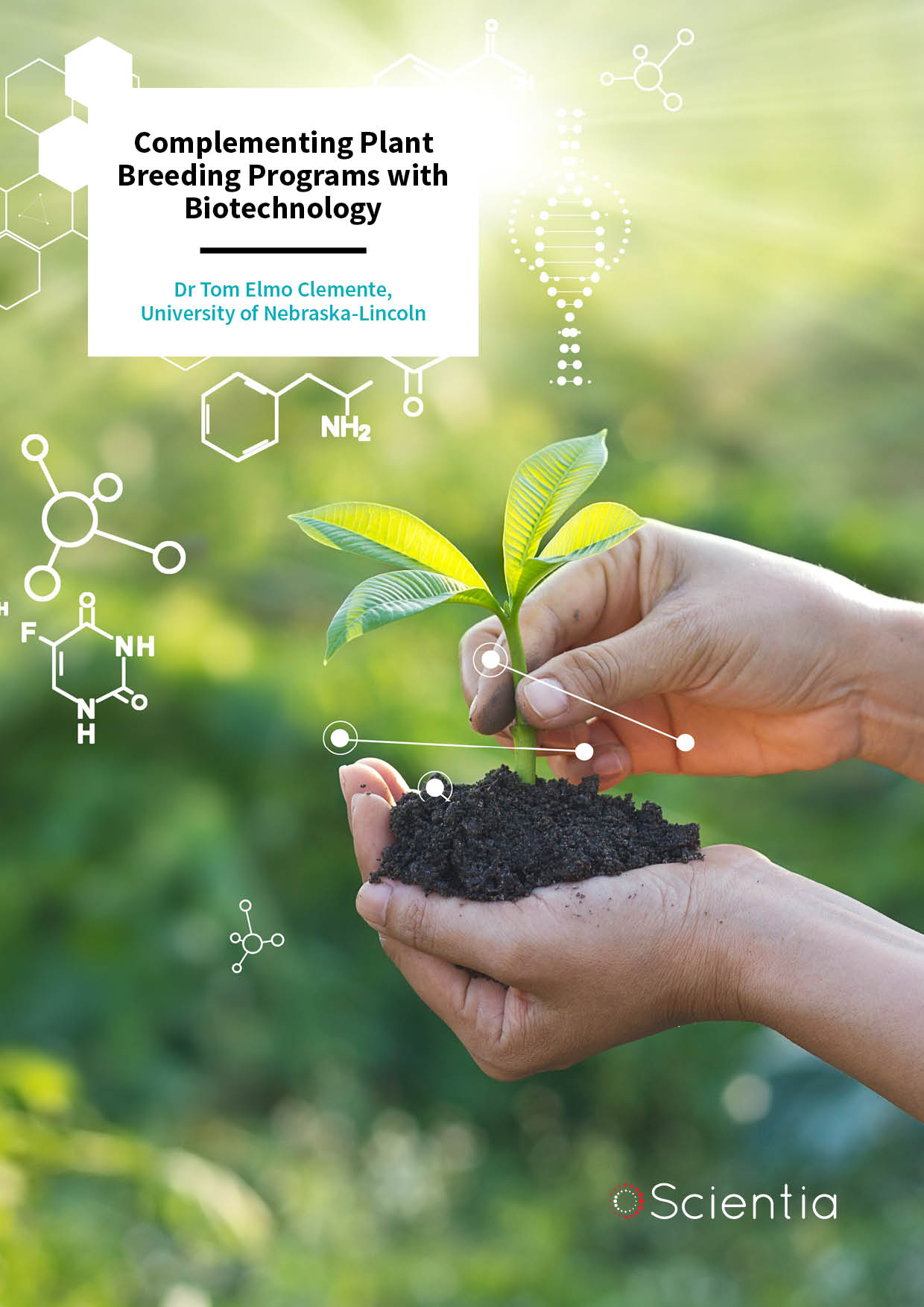 Complementing Plant Breeding Programs with Biotechnology