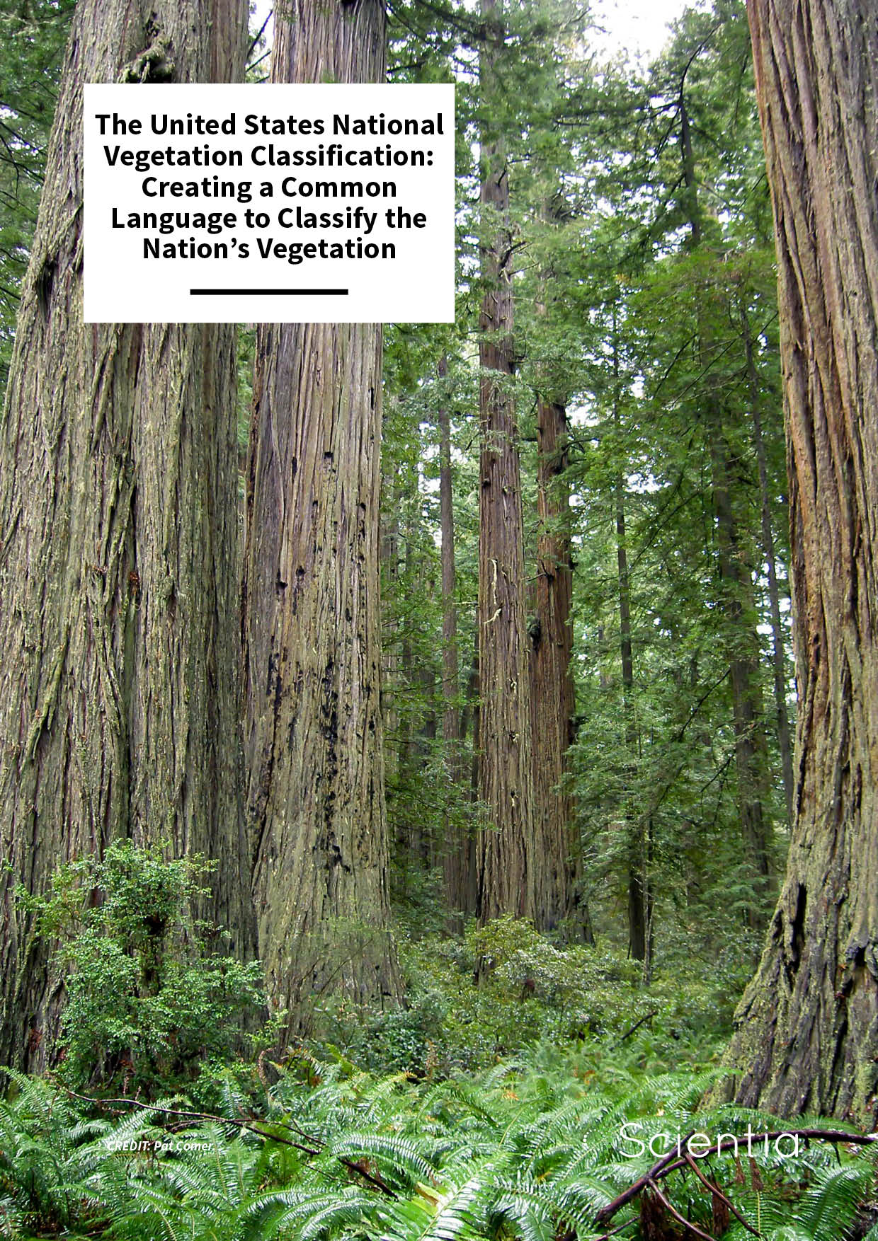 The United States National Vegetation Classification: Creating A Common Language To Classify The Nation’s Vegetation