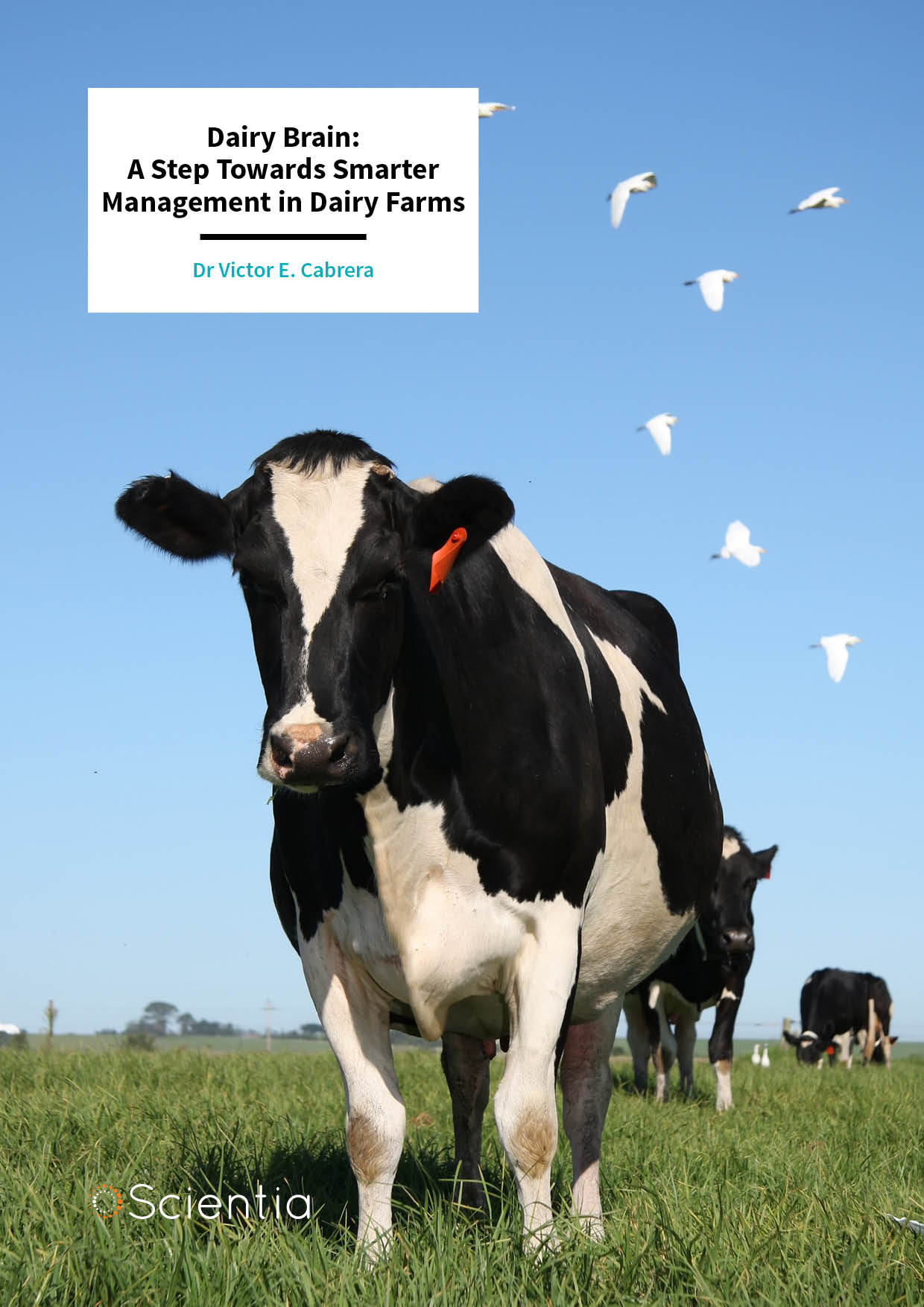 Dr Victor E. Cabrera – Dairy Brain: A Step Towards Smarter Management in Dairy Farms
