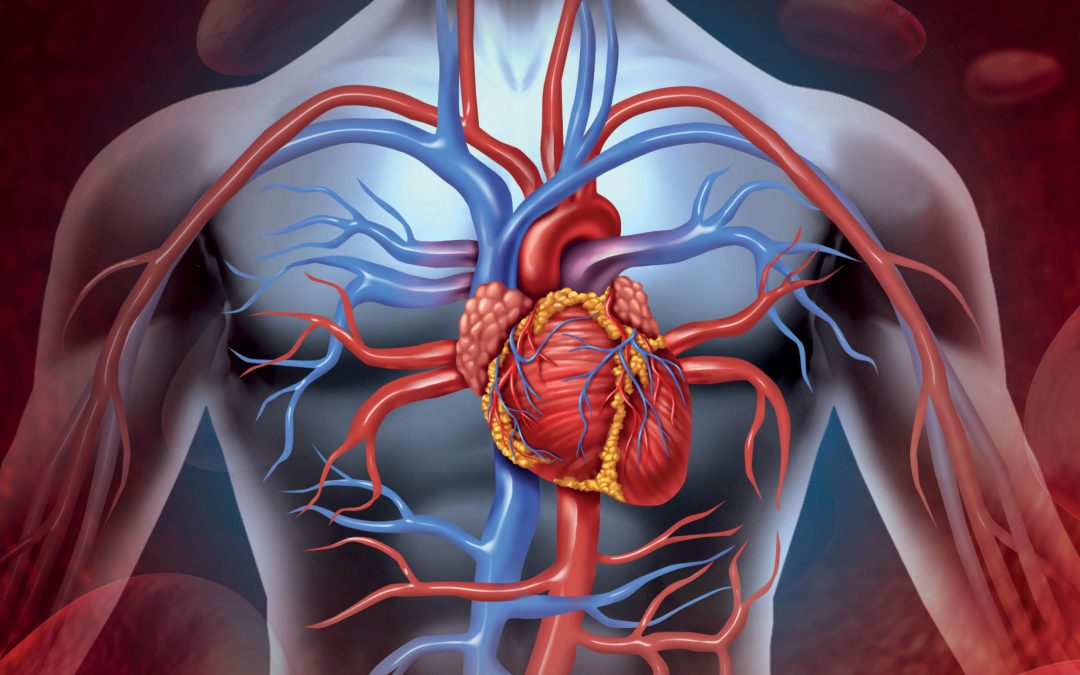 Dr York Hsiang – Going with the Flow: New methods for Treating Cardiovascular Disease