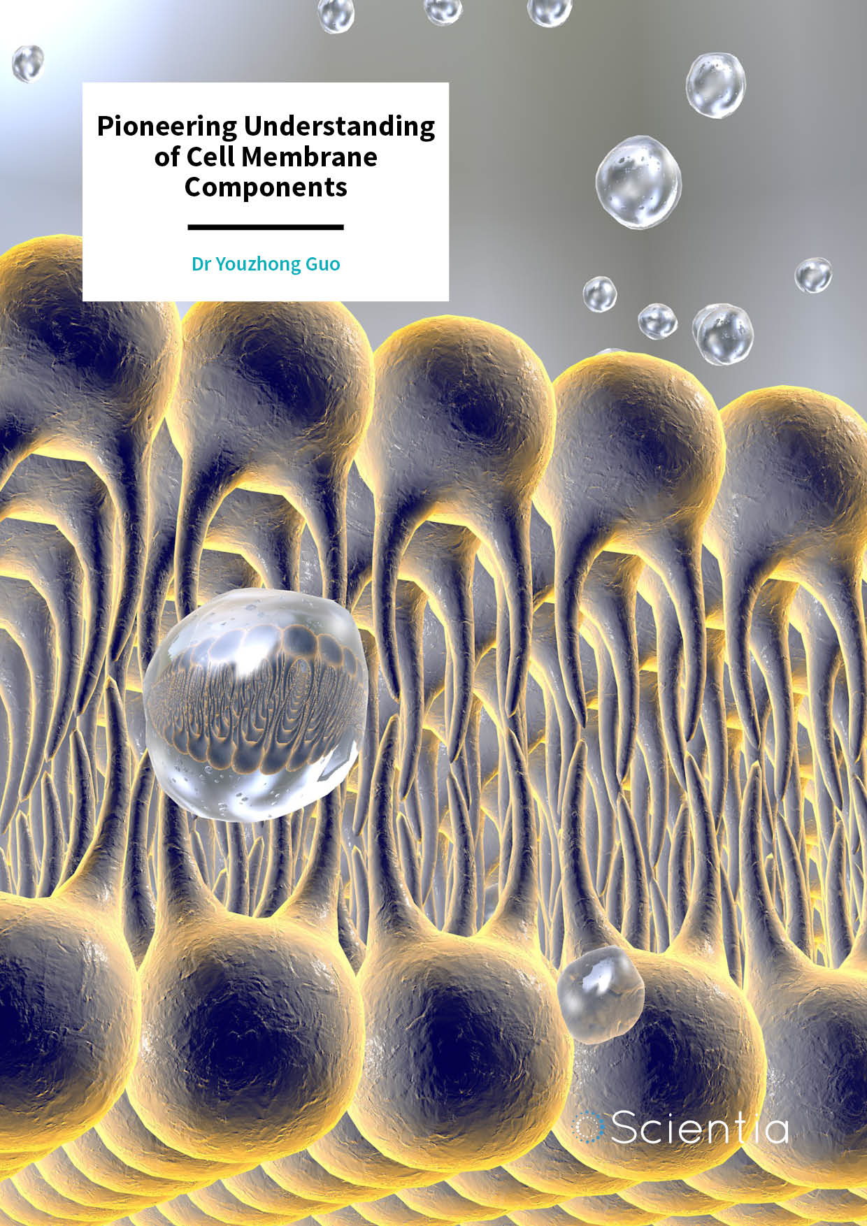 Dr Youzhong Guo | Pioneering Understanding of Cell Membrane Components