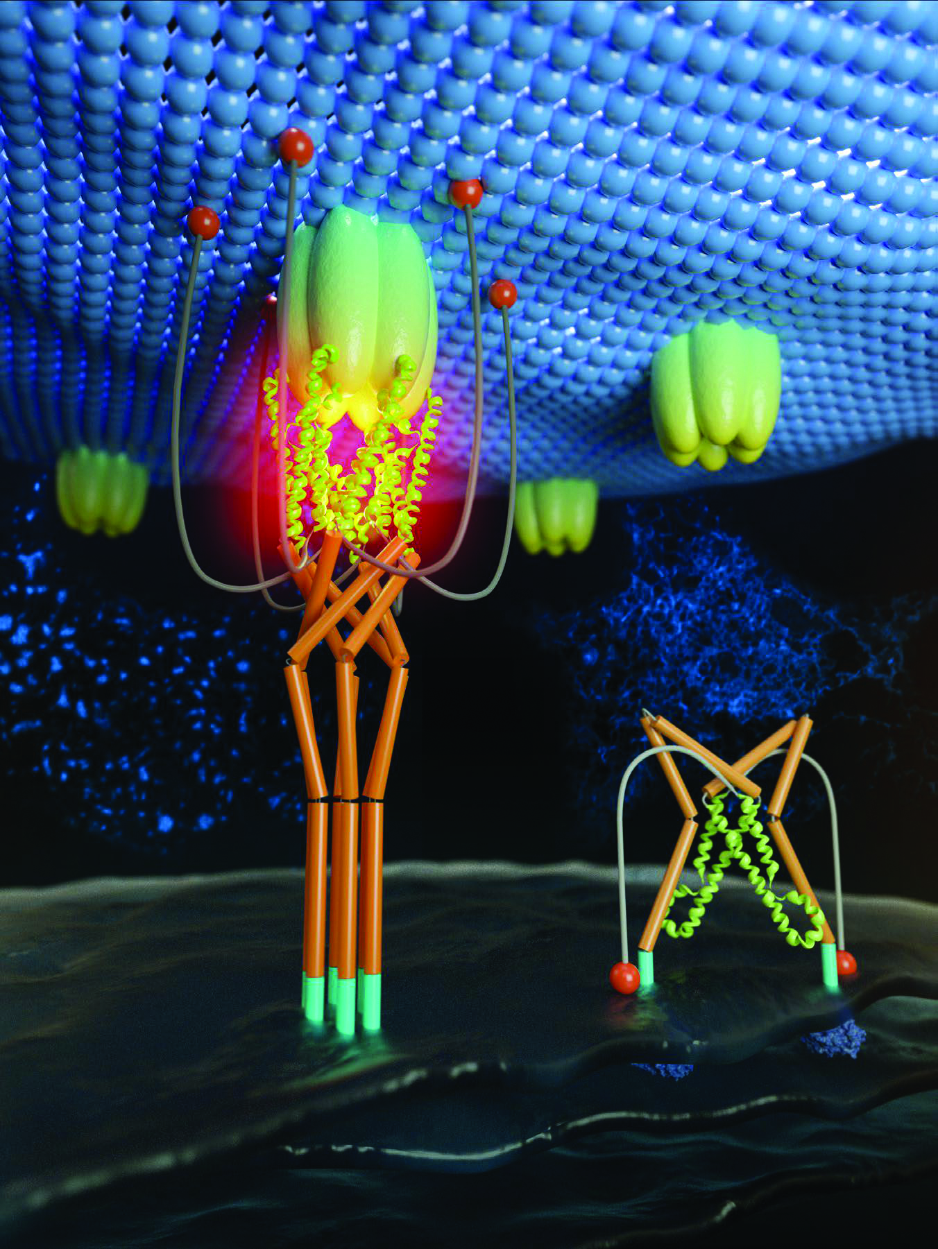 Professor Yubin Zhou - Let There Be Light! • scientia.global