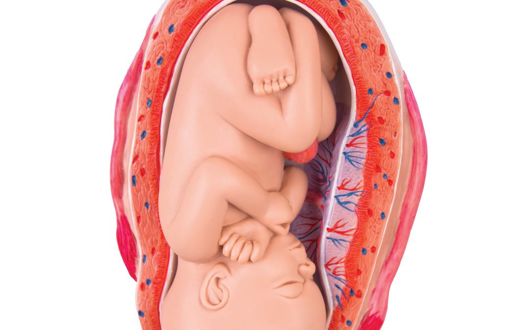 Professor Yuping Wang – Vitamin D and Preeclampsia – Joining the Dots