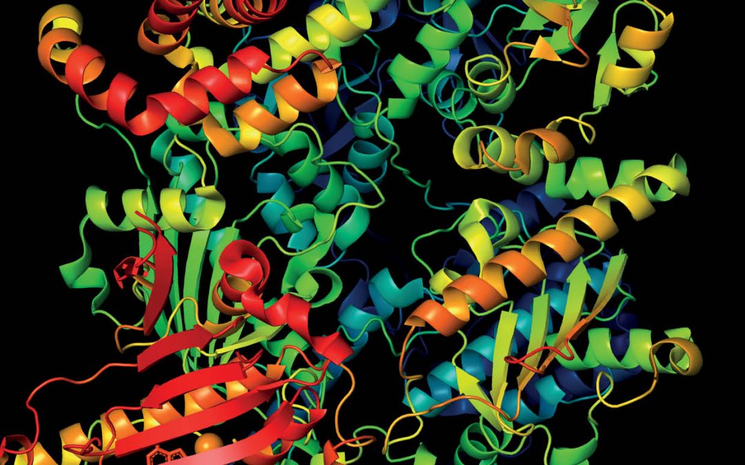 Dr Zachary Senwo – Catalysing Agriculture with Enzymes